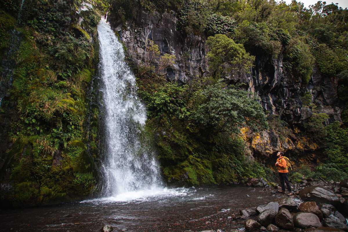 Taranaki Story 133 Visitor Live environment Dawson Falls Taranaki Maunga National Park