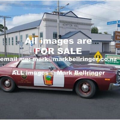Mark Bellringer
