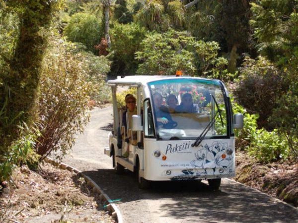 Pukeitifeatures-mobilityvehicle