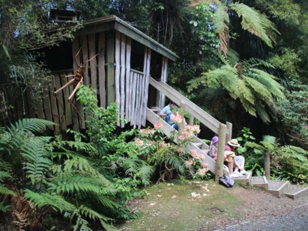 Treehouse-Trail
