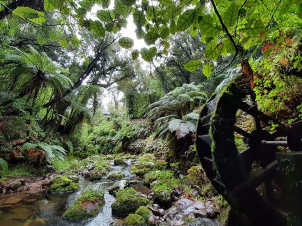 Waterwheel670