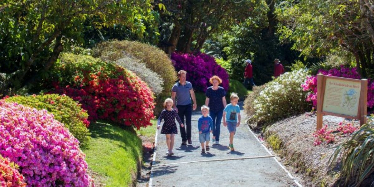 websitePukeiti1300x500